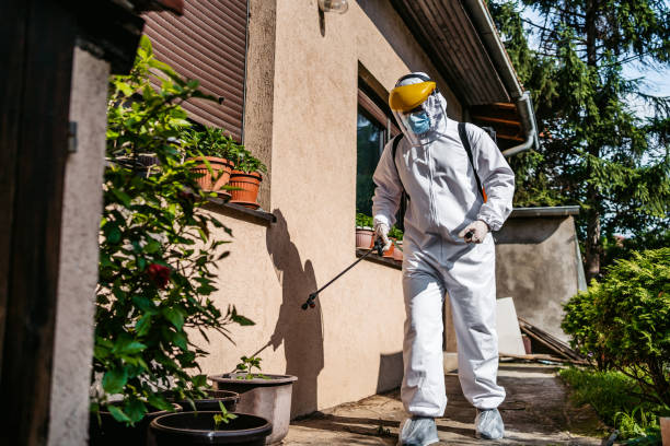Best Wasp Removal Services  in Ortonville, MI