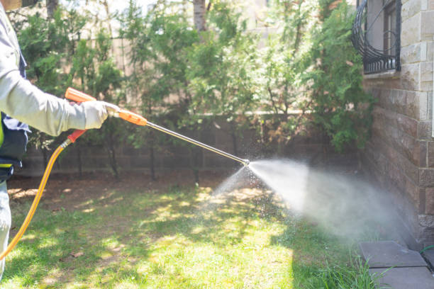 Best Pest Control Near Me  in Ortonville, MI
