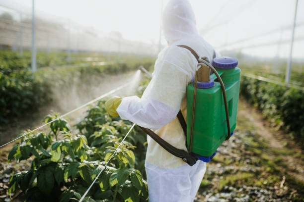 Best Exterminator Services  in Ortonville, MI